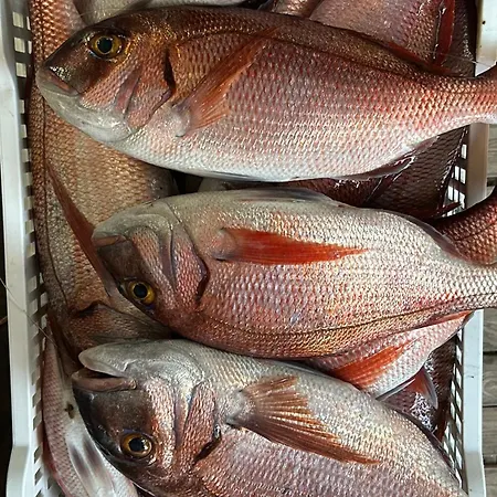 Restaurant Petra Cinta *