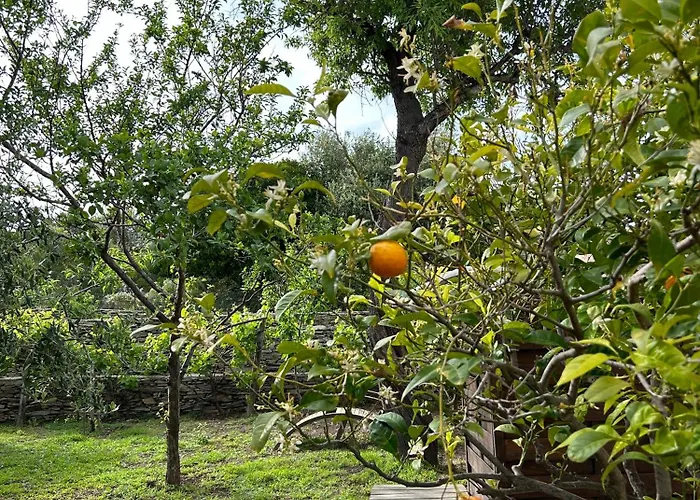 Restaurant Petra Cinta *