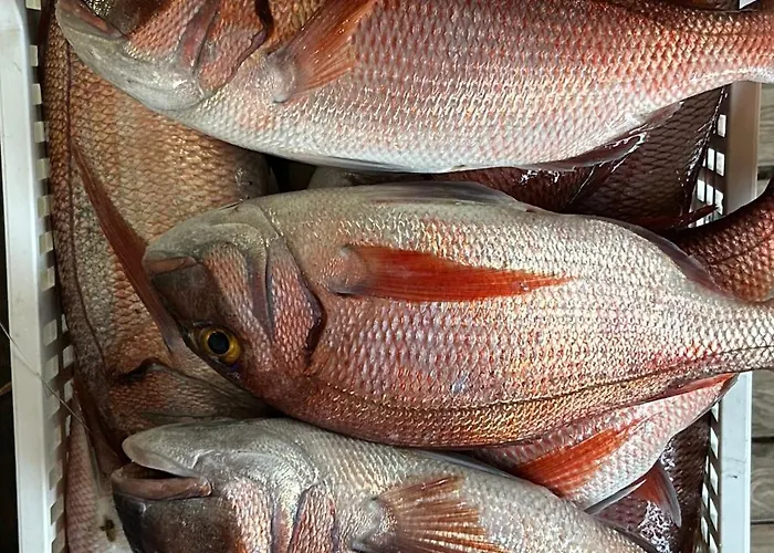 Restaurant Petra Cinta *